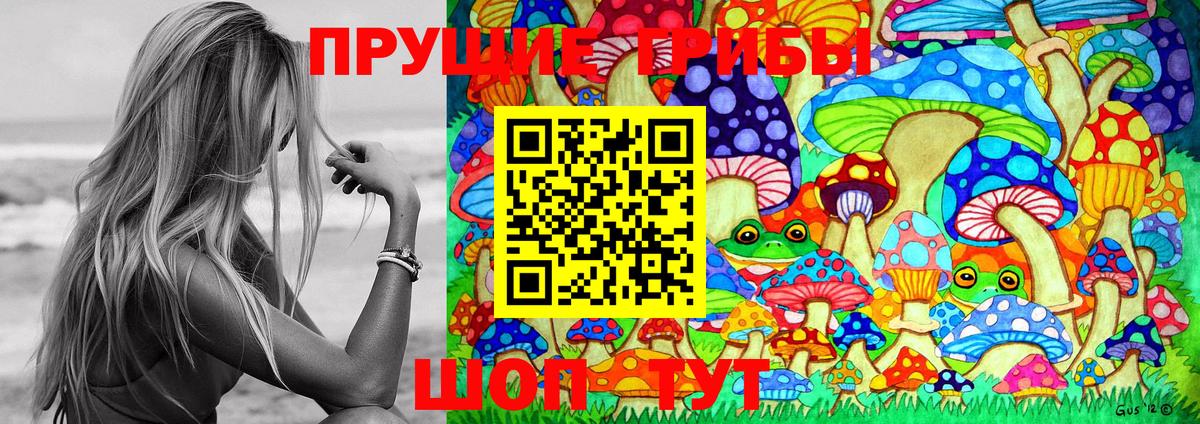 Псилоцибиновые грибы Psilocybe  Вход с VPN  Щёлково 