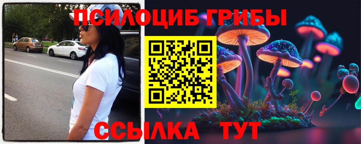 Псилоцибиновые грибы Cubensis Щёлково
